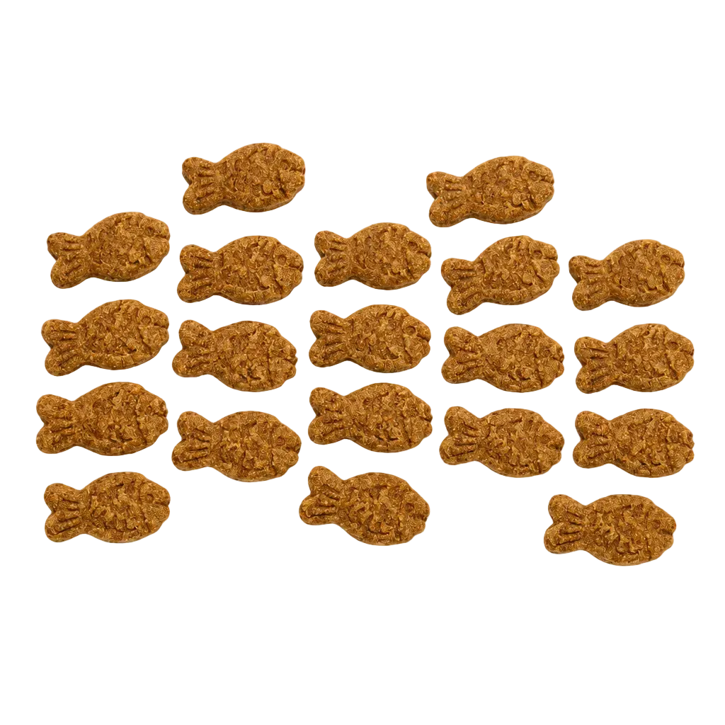 Biscuit au Cabillaud