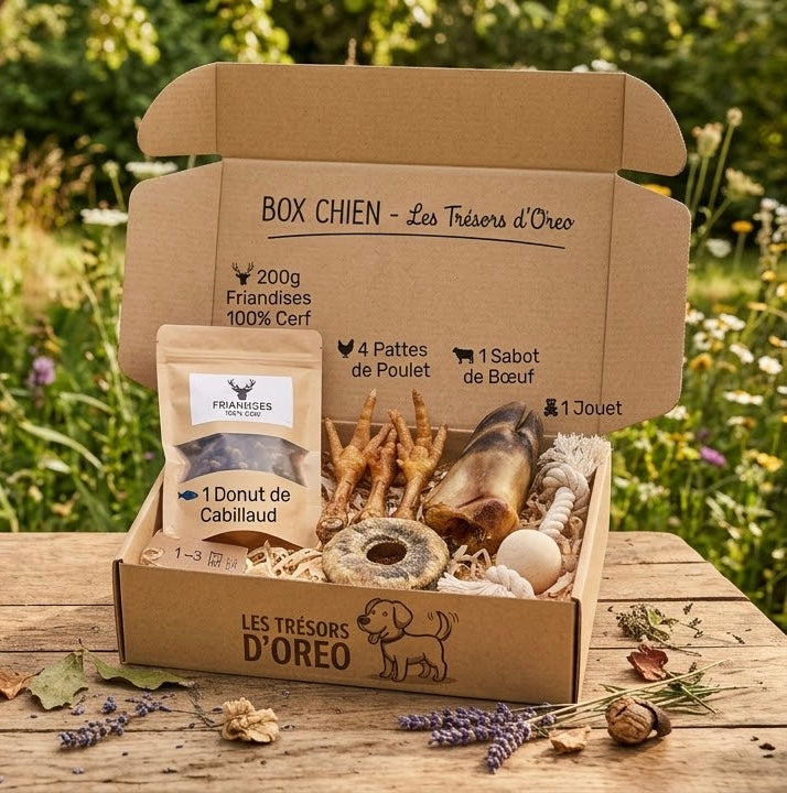 Box de lancement - Chien