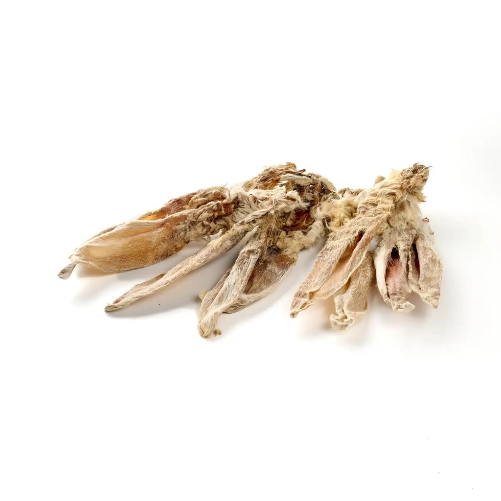 Oreilles de lapin avec fourrure